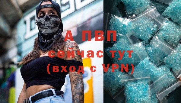 спиды Богородицк
