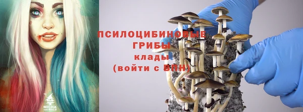 прущие крисы Богданович