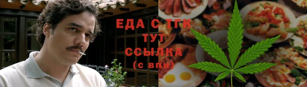 спиды Богородицк