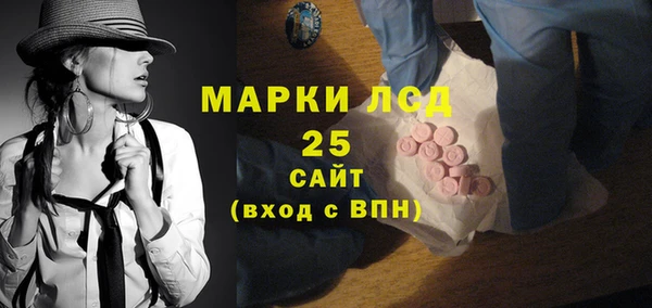 спиды Богородицк