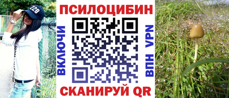 где купить   Йошкар-Ола  Галлюциногенные грибы Cubensis 